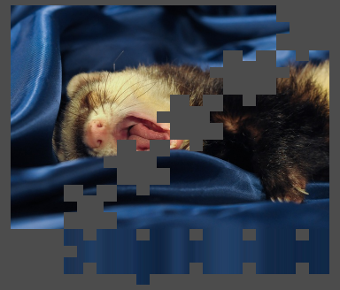 Deformed ferret puzzle