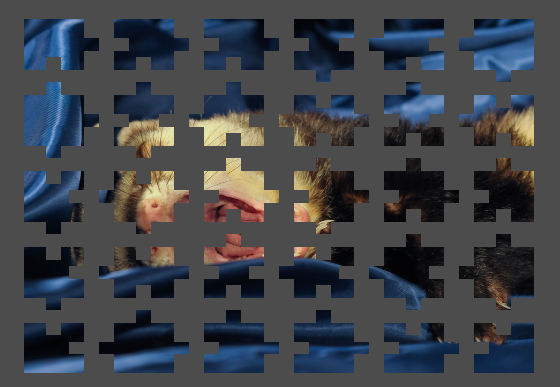 The final puzzle picture split into different pieces.